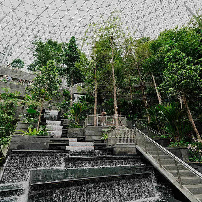 A tropical forest walkway inside a building lined with trees and plants, a manmade waterfall, leading to a structure that incorporates natural elements.
